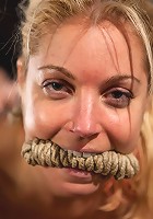 The Training of Hollie Stevens Day One