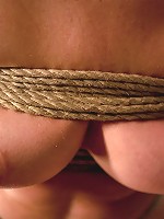 The Training of Hollie Stevens Day One