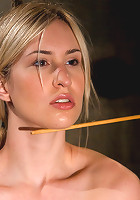 The Training of Calico, Day Two