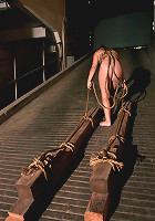 The Training of Savannah West Day One