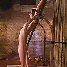 The Training of Sarah Shevon, Day Two