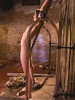 The Training of Sarah Shevon, Day Two