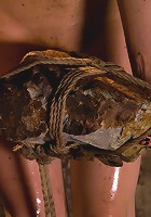 The Training of Sarah Shevon, Day Two