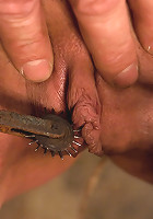 The Training of Calico, Day One