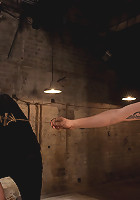 The Training of Calico, Day One