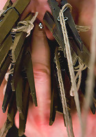 The Training of Bella Rossi, Day Two