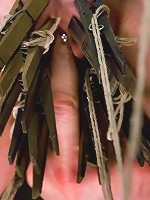 The Training of Bella Rossi, Day Two