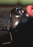 The Training of Tara Lynn Foxx, Day One