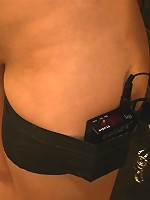 Service Session: The House Pet