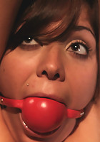 Whipped Ass LIVE in August