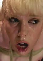 The Veteran and the Newbie