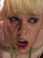 The Veteran and the Newbie