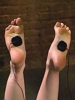 The Veteran and the Newbie