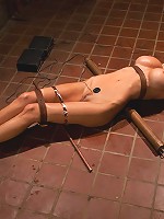 Puma Swede: Big Tits, Blonde Hair, and a Bad Attitude