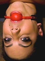 Total Amateur performs for the camera for the first time ever!